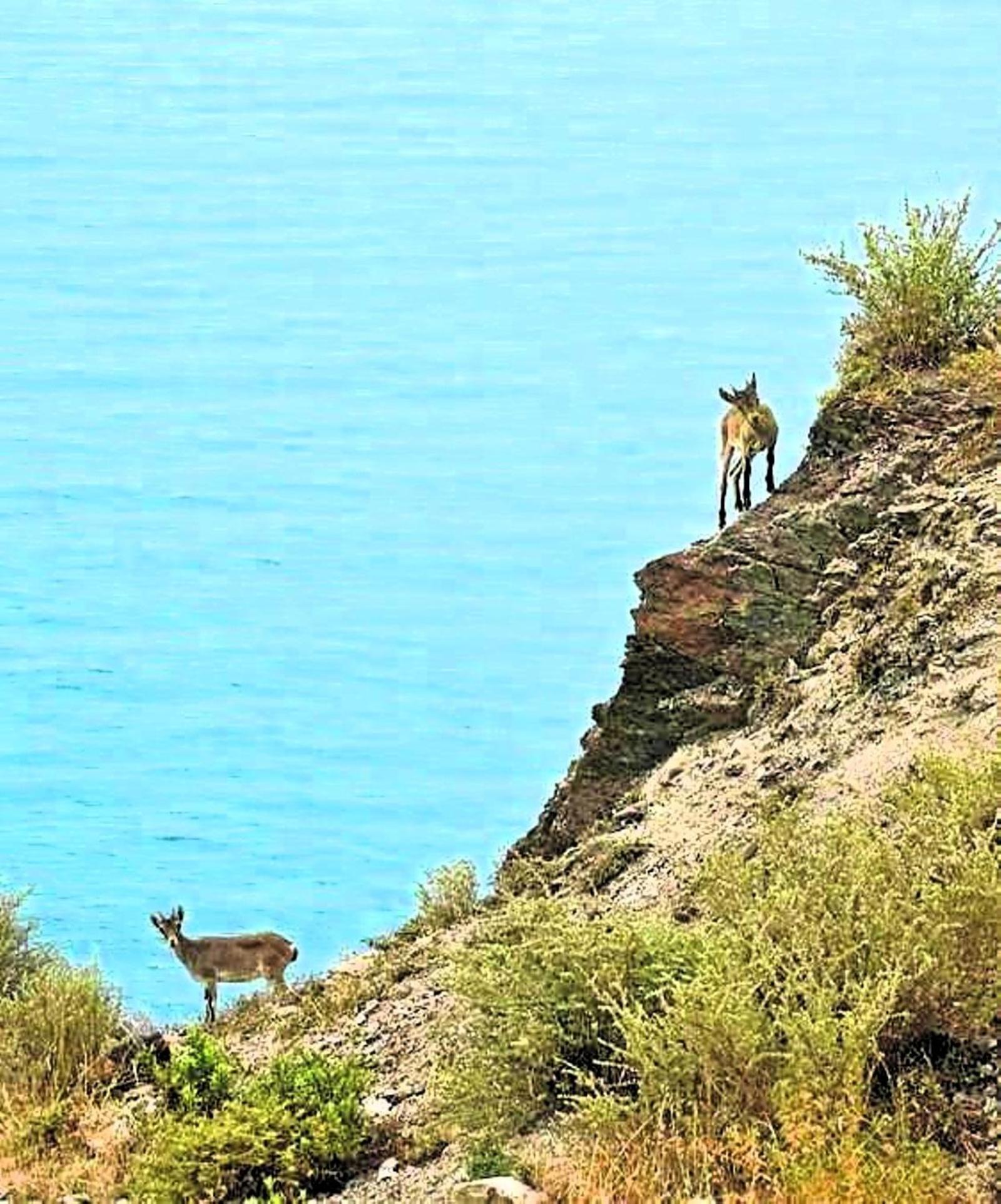 Balcon Del Duende Leilighet Nerja Eksteriør bilde